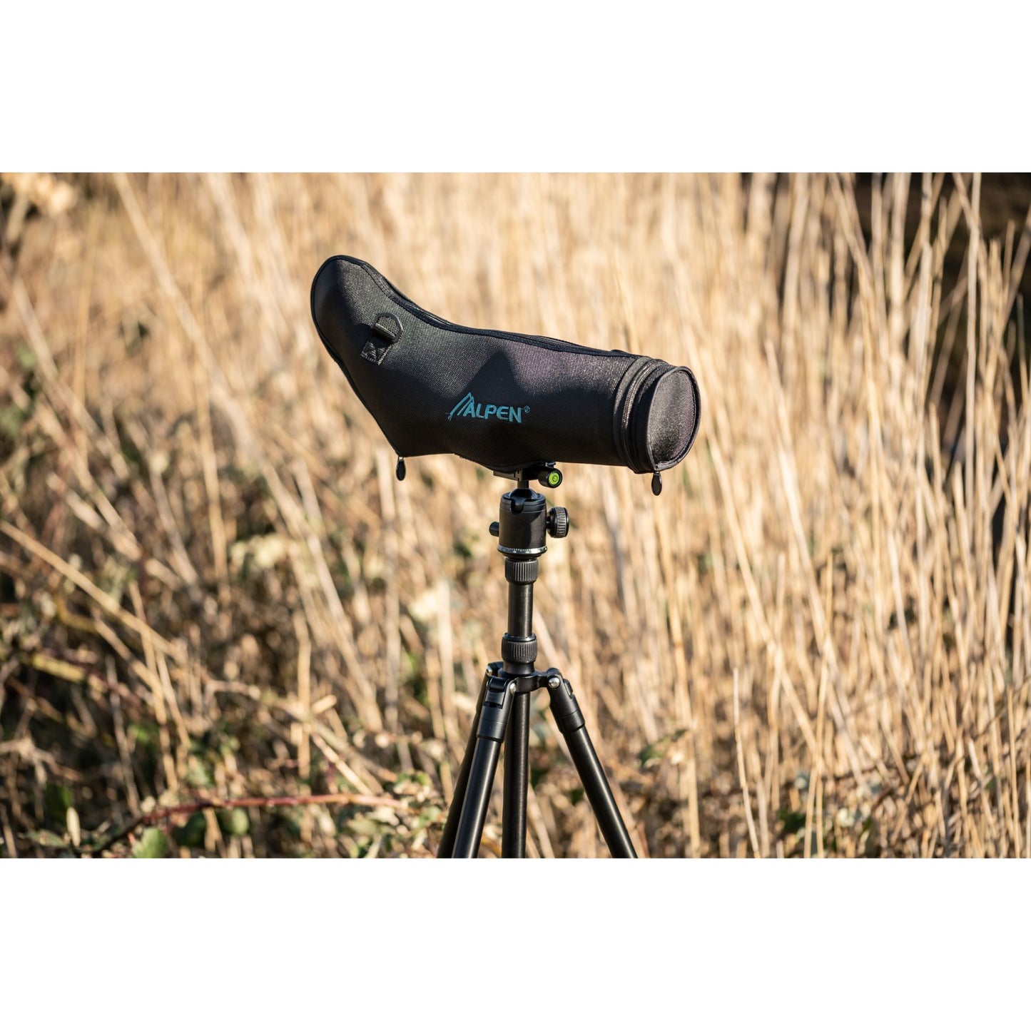 ALPEN OPTICS Apex 20-60x80 Spektiv
