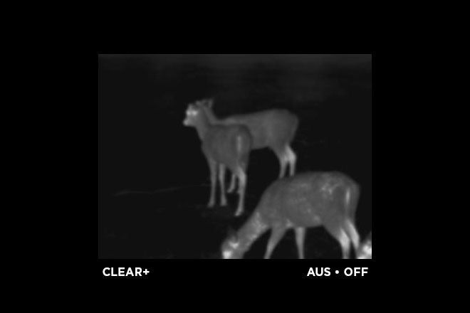 ALPEN OPTICS Apex Thermal 25mm / 40mk / 384x288