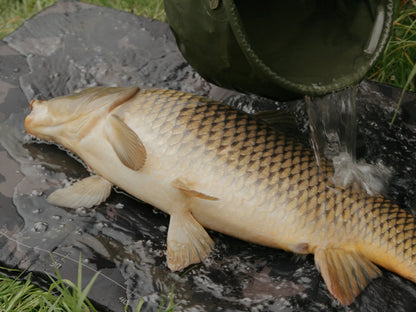 Delphin CarpMAT BANX Camo Fischmatte