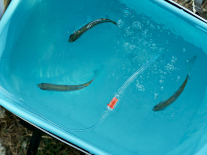 Delphin HydrO2 Sauerstoffpumpe mit Akku