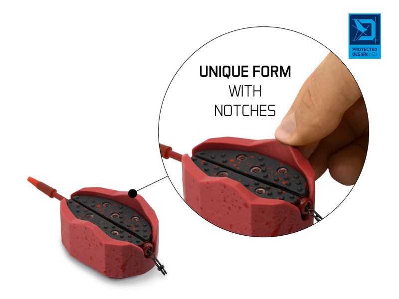 Delphin Method QUIX Form