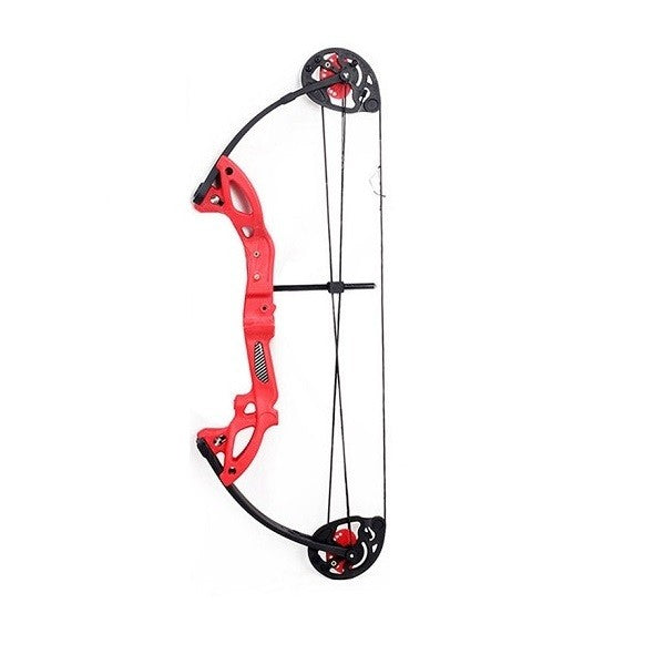 BLACK FLASH Archery Compoundbogen - Set DUKE