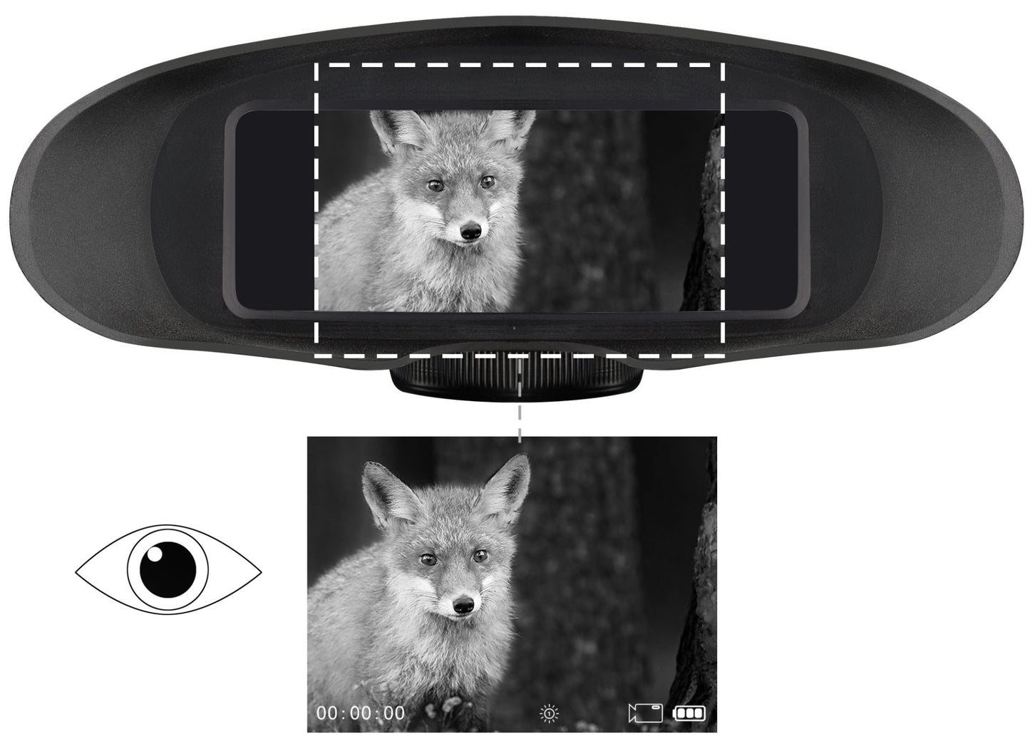 BRESSER Digital Nachtsichtgerät Binokular 3,5x m. Aufnahme Monochrom
