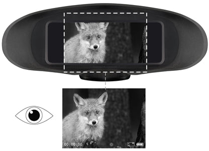 BRESSER Digital Nachtsichtgerät Binokular 3,5x m. Aufnahme Monochrom