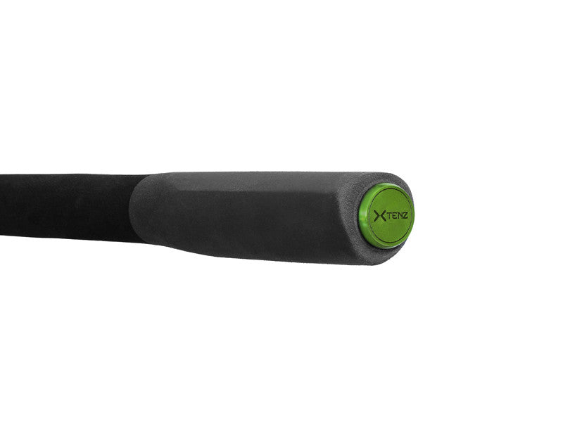 Delphin Xtenz