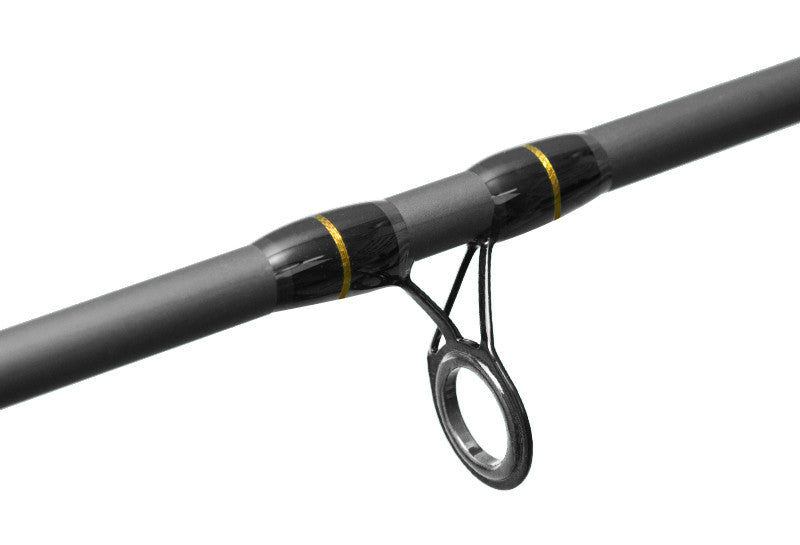 Delphin RIVER Trophy Feeder + 4 Spitzen