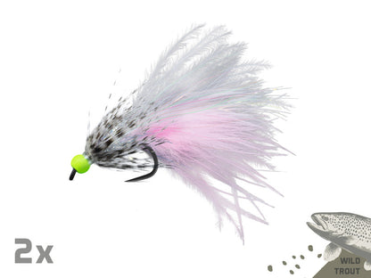 Set künstlicher Fliegen Delphin FLY / 10 Stück