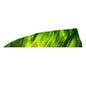 GATEWAY Feder Natur Shield ECC – 24 Stück