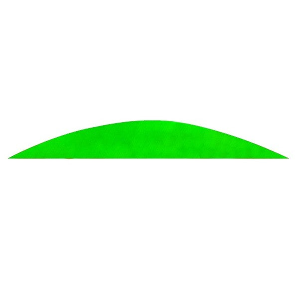 GATEWAY Feder Natur MAGNUM - solid – 20 Stück