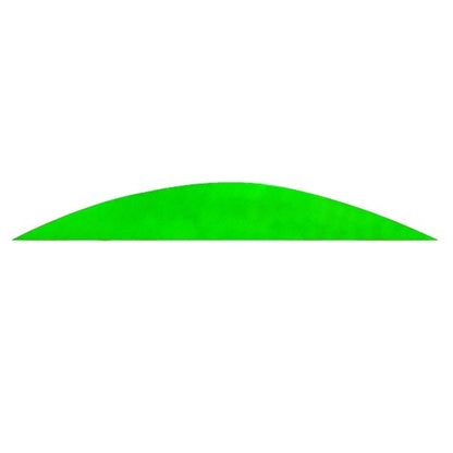 GATEWAY Feder Natur MAGNUM - solid – 20 Stück