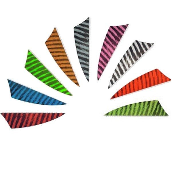 GATEWAY Feder Natur RAYZR barred – 20 Stück