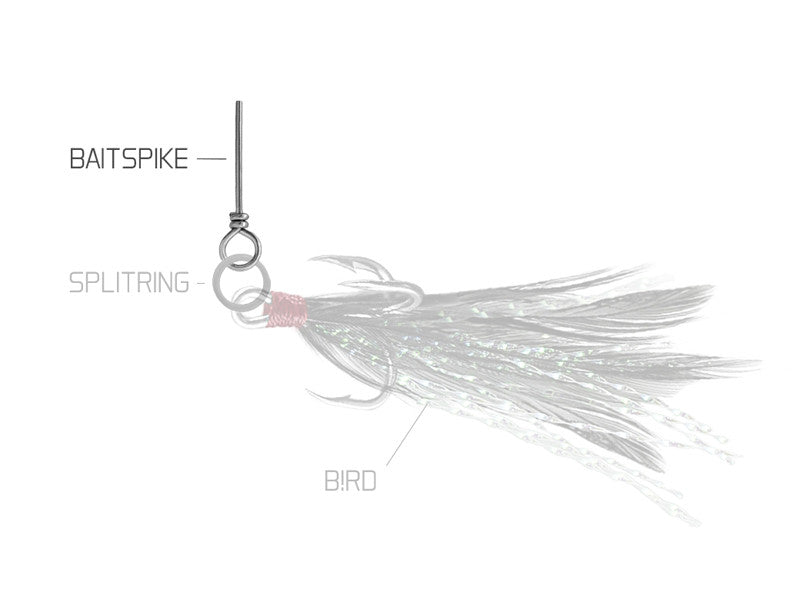 Delphin BAIT SPIKE Köderdorn