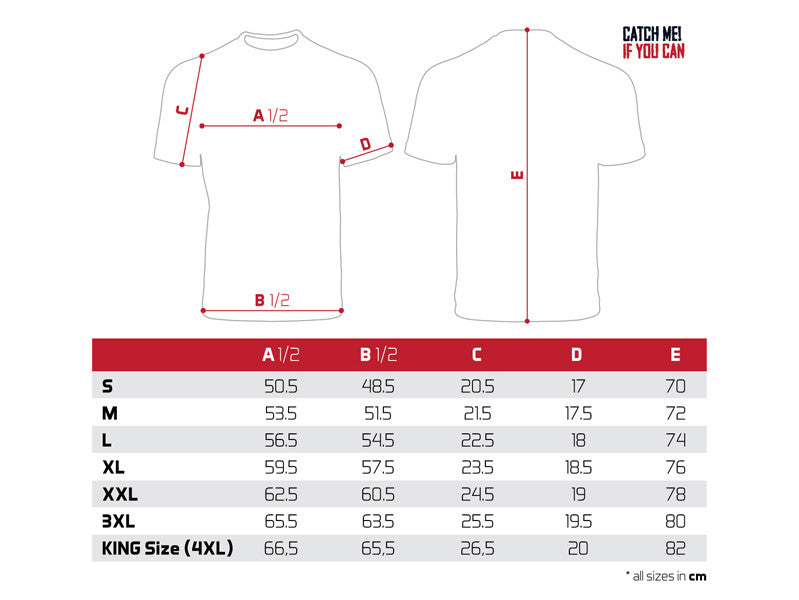 T-Shirt Delphin Catch me! BRACHSE