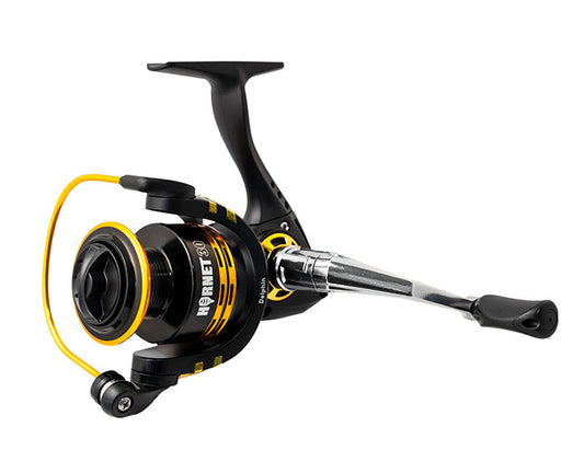Delphin HORNET 20 / 3+1