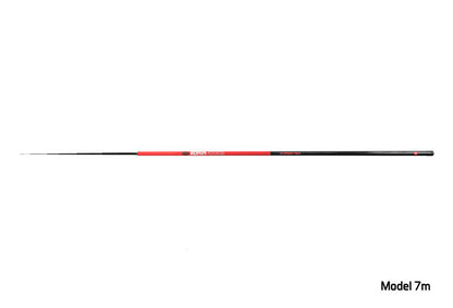 Delphin RONIN