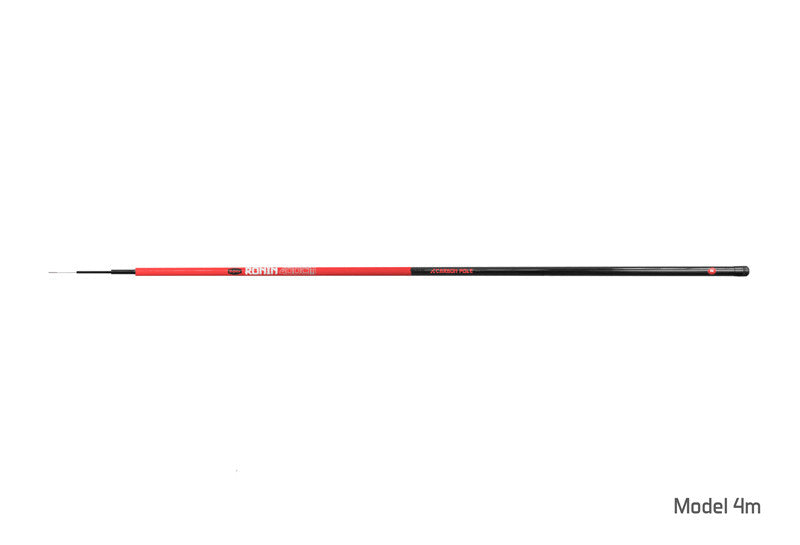 Delphin RONIN