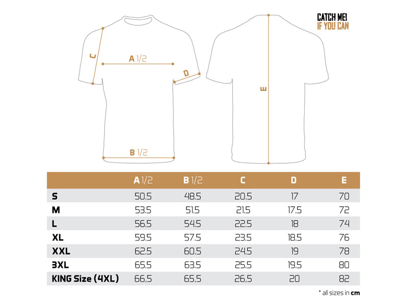 T-Shirt Delphin Catch me! SANDER