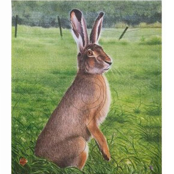 JVD Archery Scheibenauflage HASE – 10 Stück