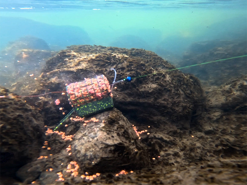 Delphin RiverSTIX Futterkorb mit Bleigewicht