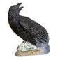 Rinehart 3D-Ziel Raven (Rabe) – 3D Bogenscheibe