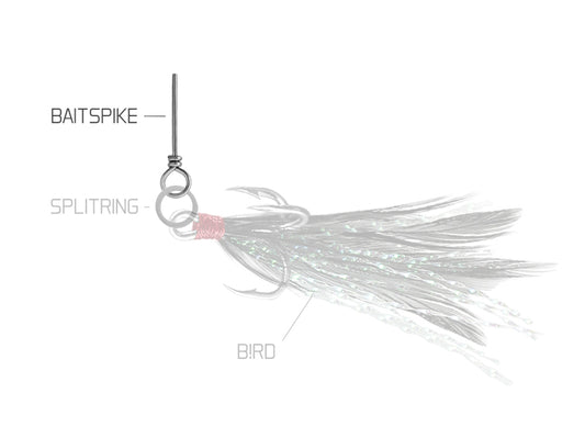 Delphin BAIT SPIKE Köderdorn