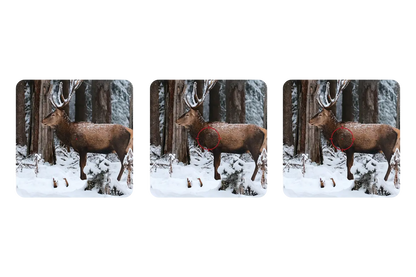 ALPEN OPTICS Argus LT Red Dot 1x20x18 geschlossen