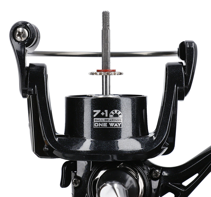 Mikado Rolle - Lx Ng 2008 Fd - 1 Stk.