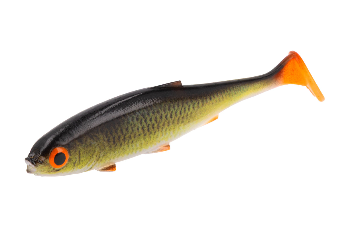 Mikado Köder - Perfect Roach 8.5cm/3D Rudd- 5 Stk.