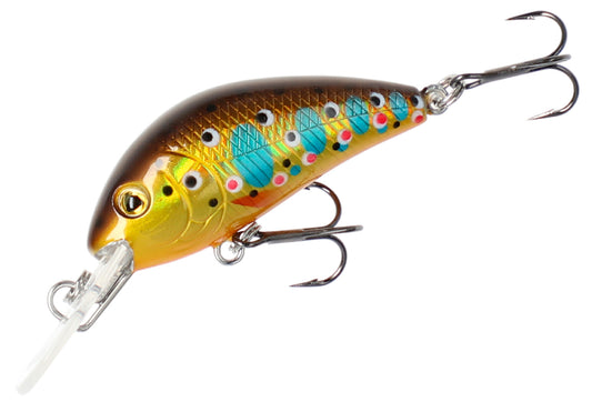 Mikado Wobbler Fishunter Cavalier - Trout - Schwimmend