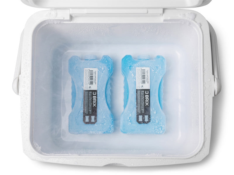 Kühlbox-Set Delphin TwiceBOX 2in1