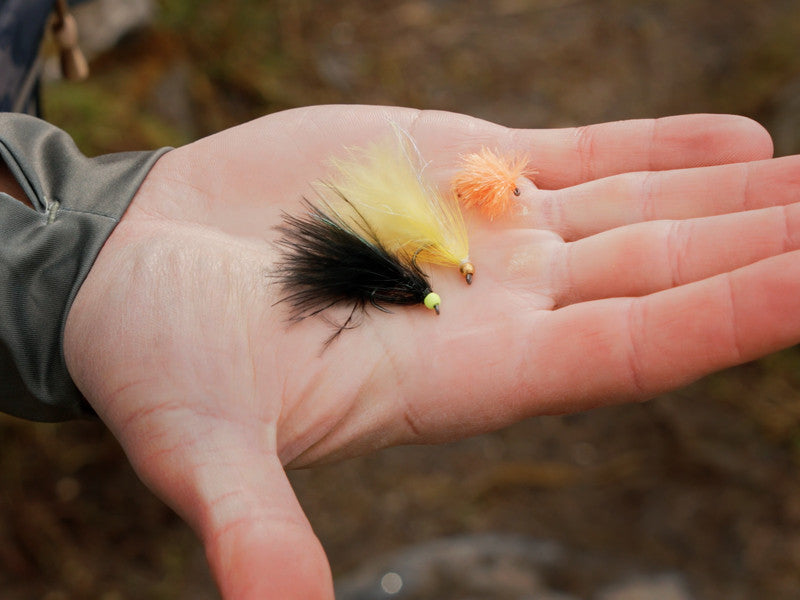 Set künstlicher Fliegen Delphin FLY / 10 Stück
