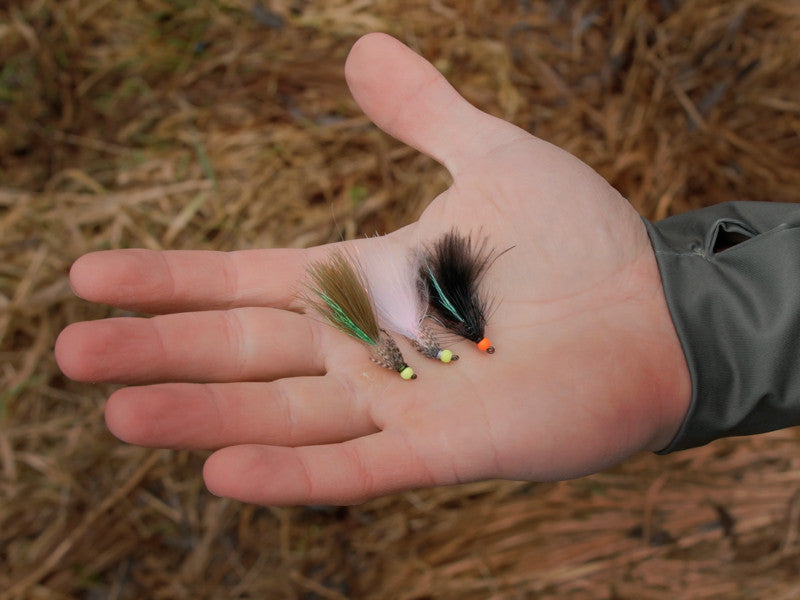 Set künstlicher Fliegen Delphin FLY / 10 Stück