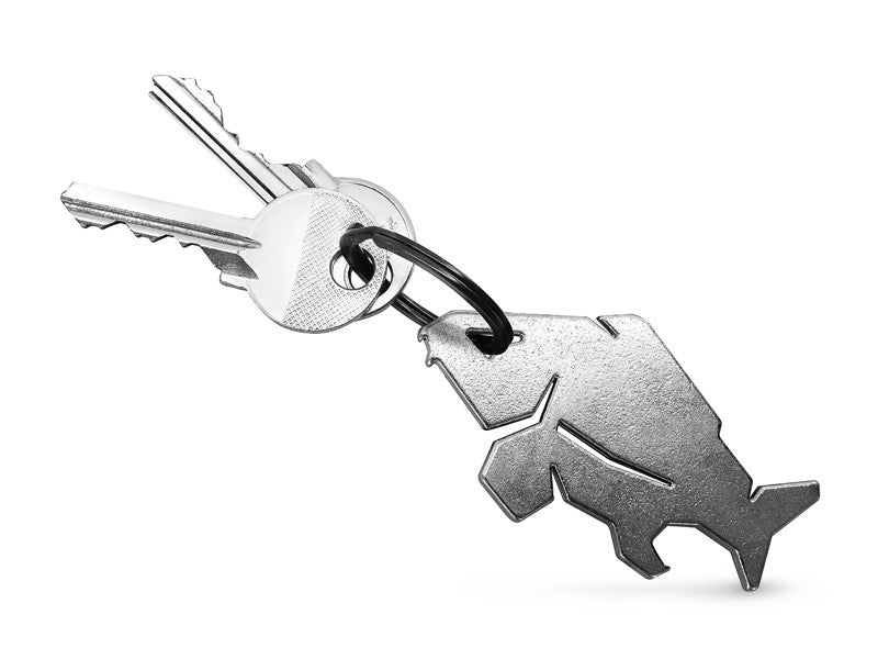 Delphin CARPENER Schlüsselanhänger mit dem Flaschenöffner